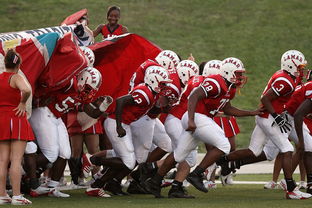 B体育视频-南特球员伤愈复出，为球队注入活力