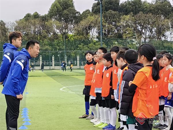 中国足球的未来之星：青训培养的关键的简单介绍